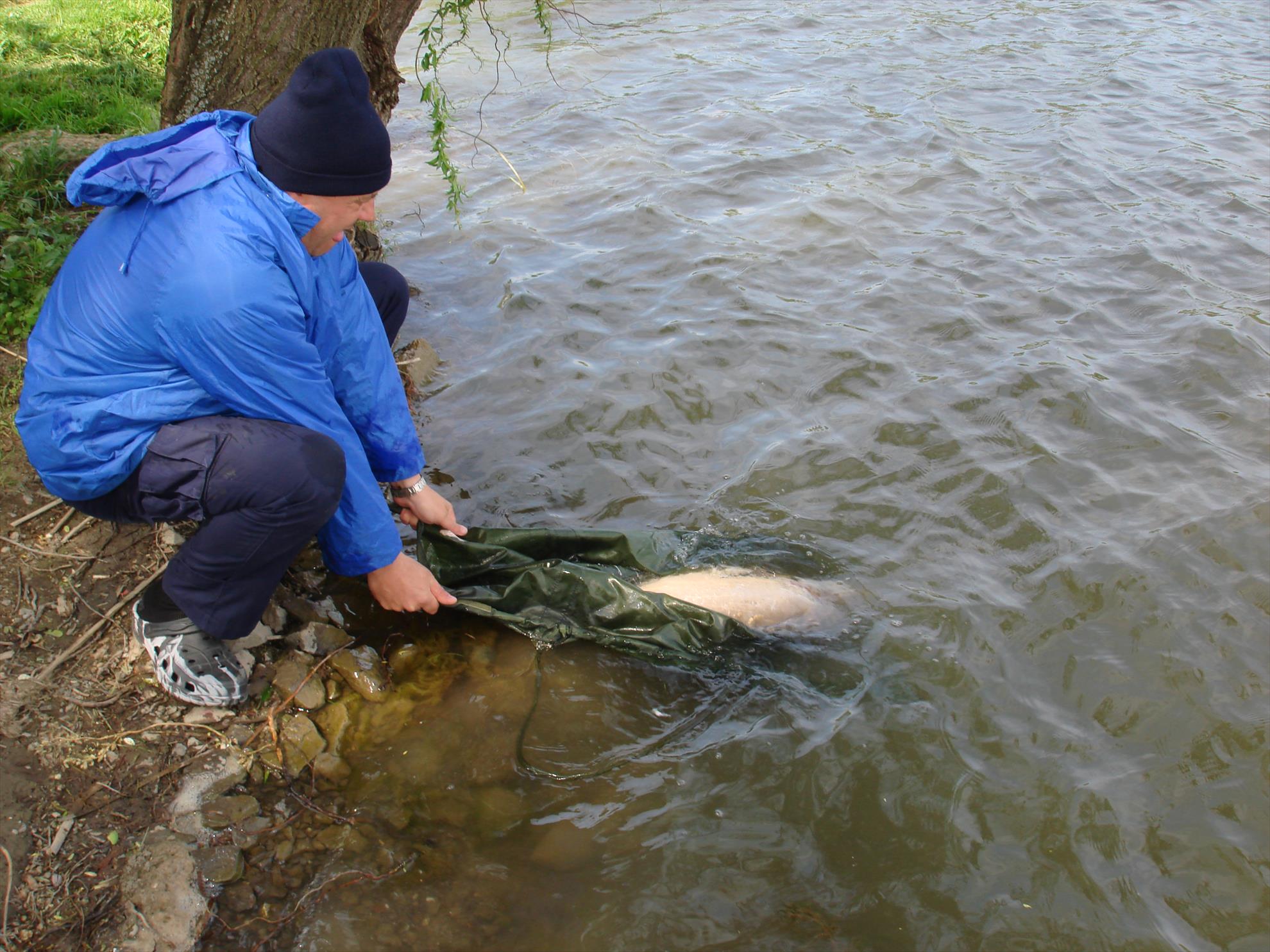 pescuit pe o balta superba - dsc06446.JPG